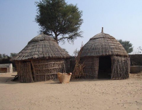 Thatched Indian Huts